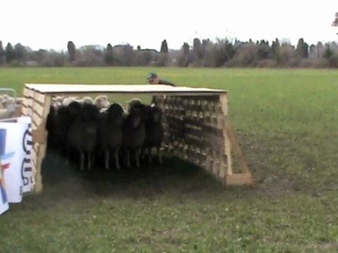 Tchad Championnat IR 2010