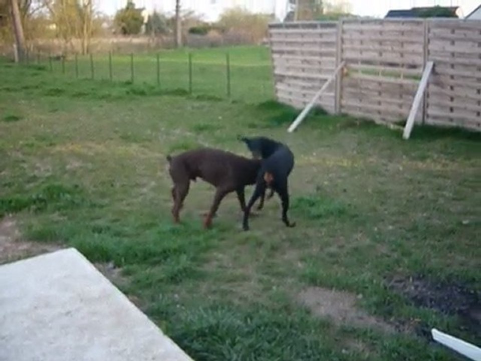 ALENA ET CAPTAIN 02