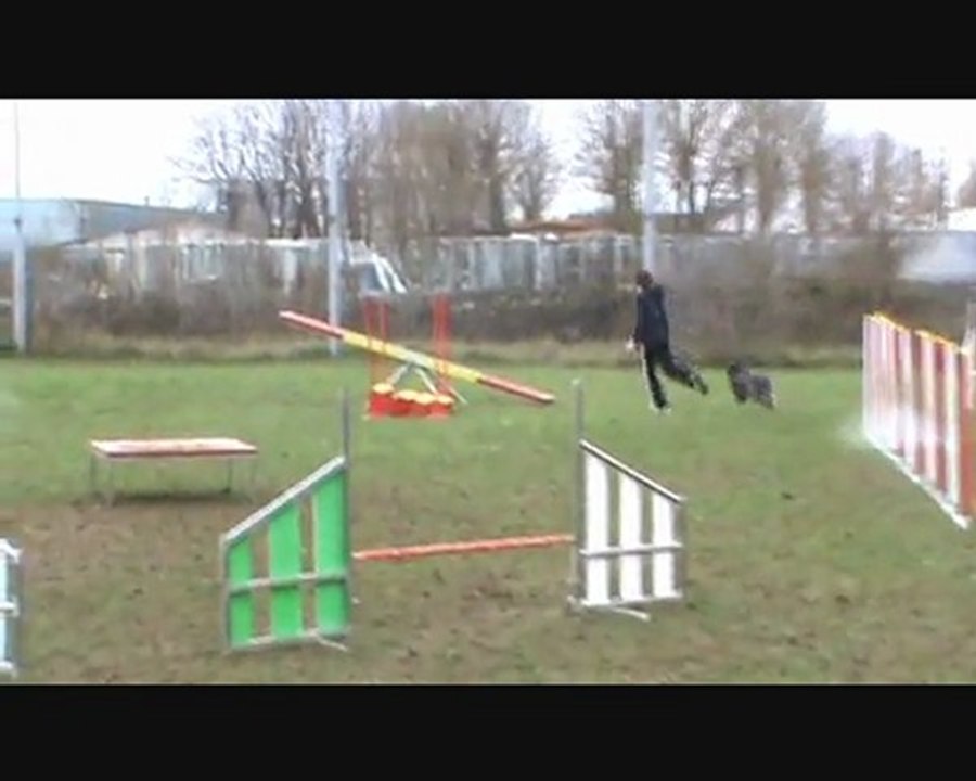 Entraînement Agility 27 mars 2010