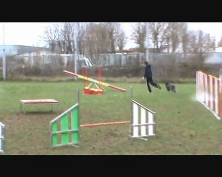 Entraînement Agility 27 mars 2010