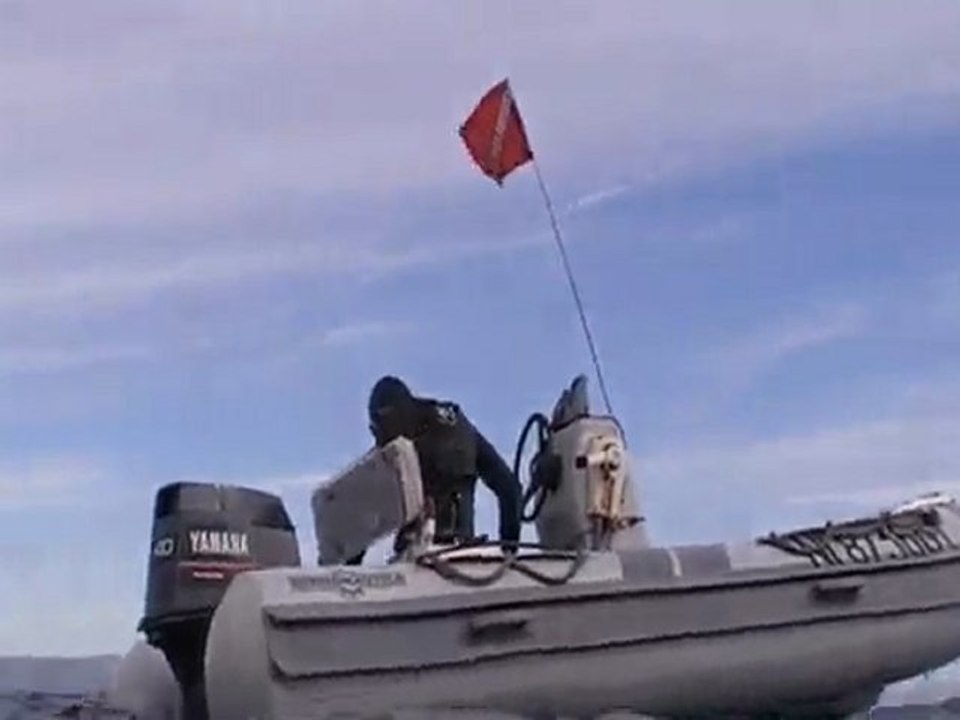 chasse sous marine (entre pottes)