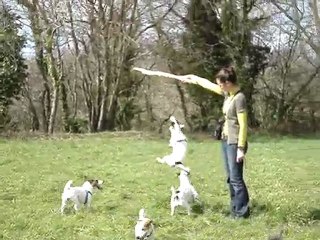 attrape la baton