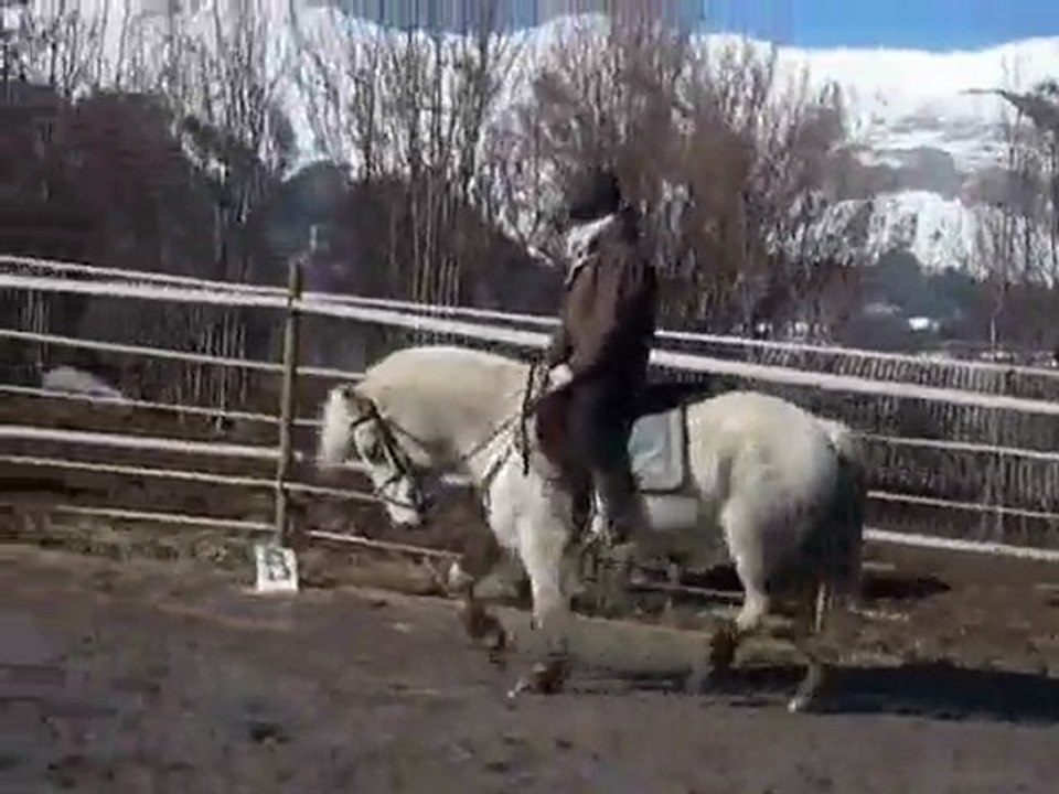 gipsy king