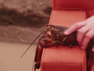 Zumiez Couch Tour Captain Coyne Ep. 09 A New Pet Lobster