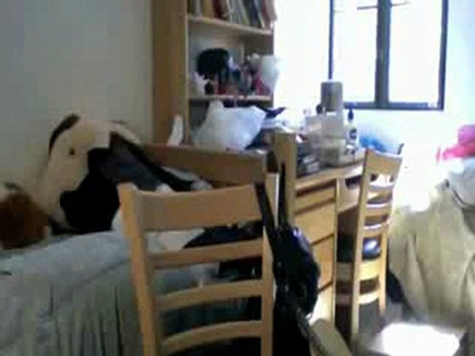 Earthquake in SD 4/4
