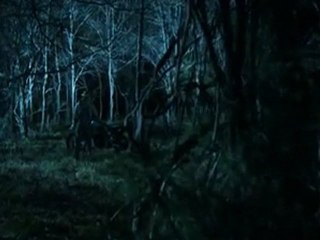 The Final 2010 DVDRip XviD-VoMiT_PC-6