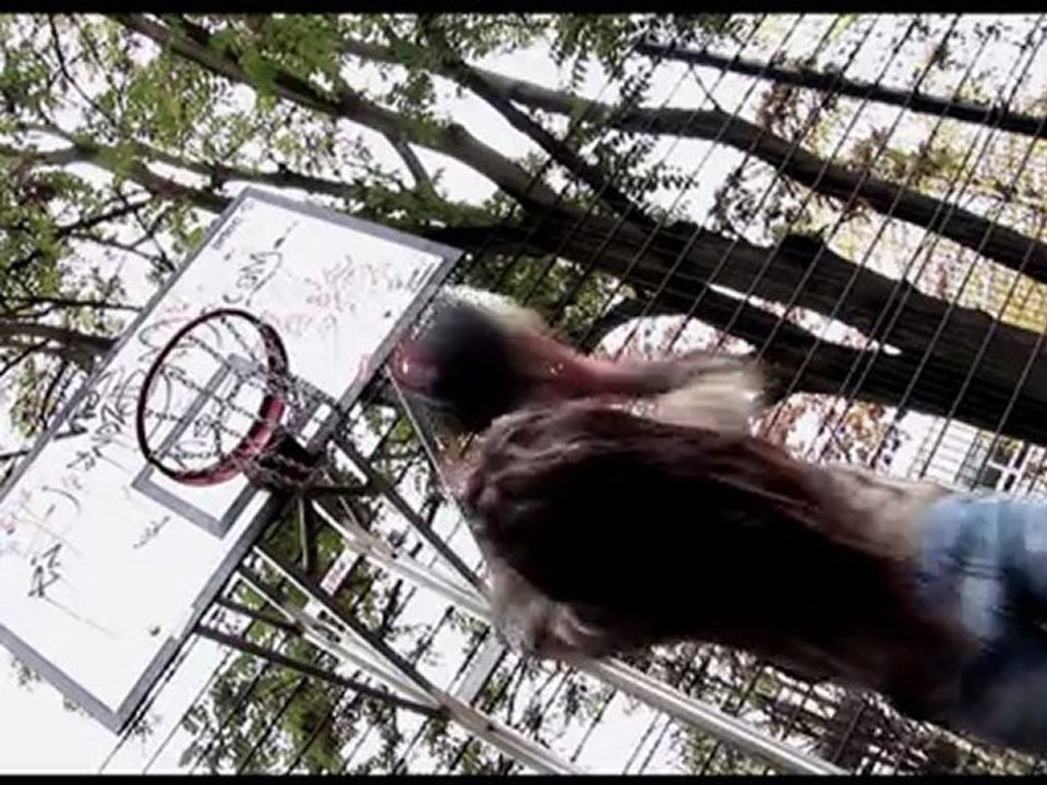 Stiftung für Bildung, Werte und Leben