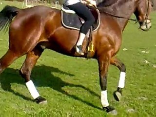 wes avril 10 reprise Am1 CCE