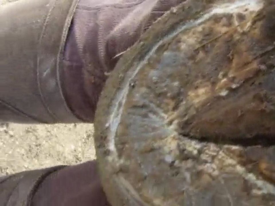 Ténor  pb de pieds