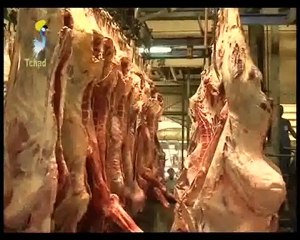 LE DJAMAL SUR NOS ASSIETTES 07/04/2010 PAR TCHADONLINE.TV