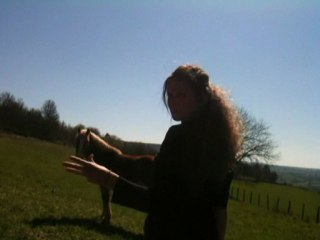 Défis n°12 Ethol-horse