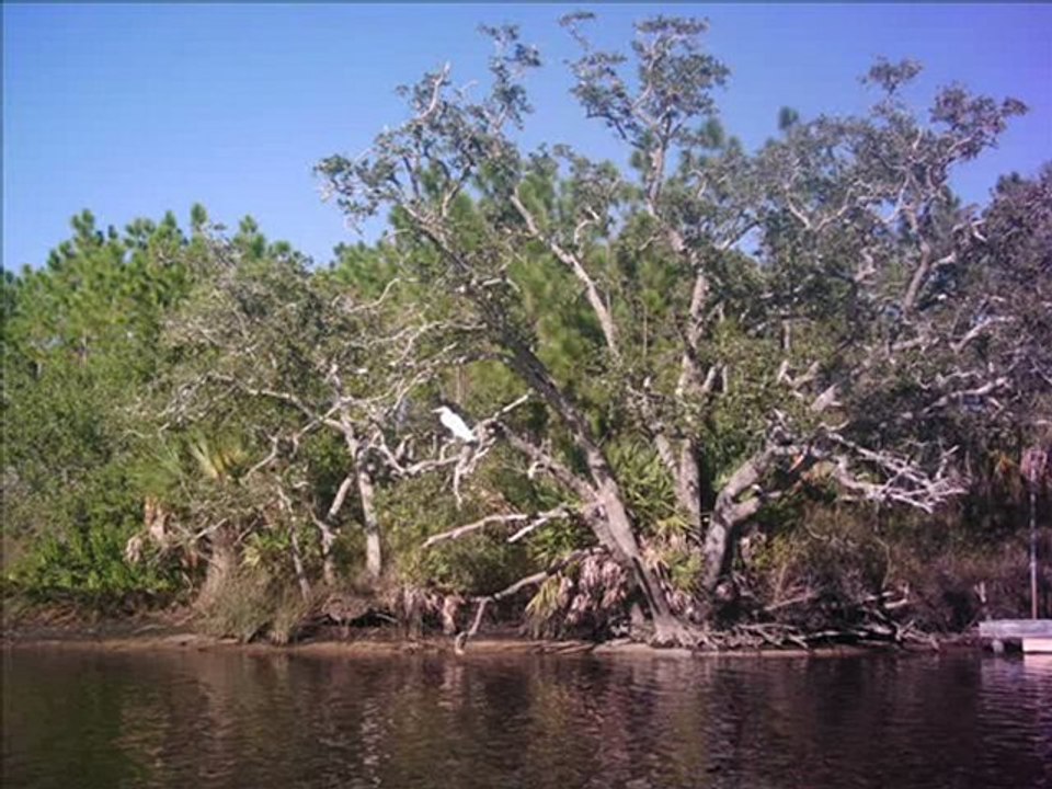 Anclote Kayak Trip