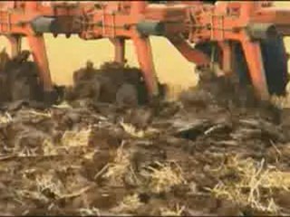 Solutions locales pour un désordre global