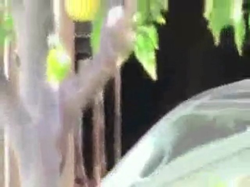 Joe Jonas And Demi Lovato Spend Easter Together (jemi)