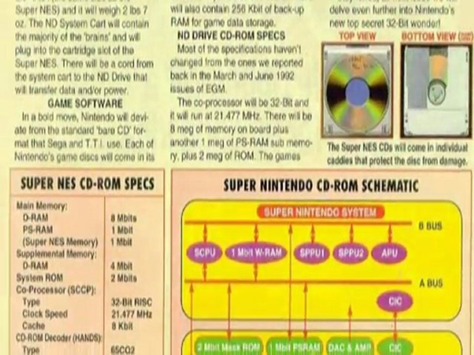 Gaming After 40 - Trilobyte Fossils