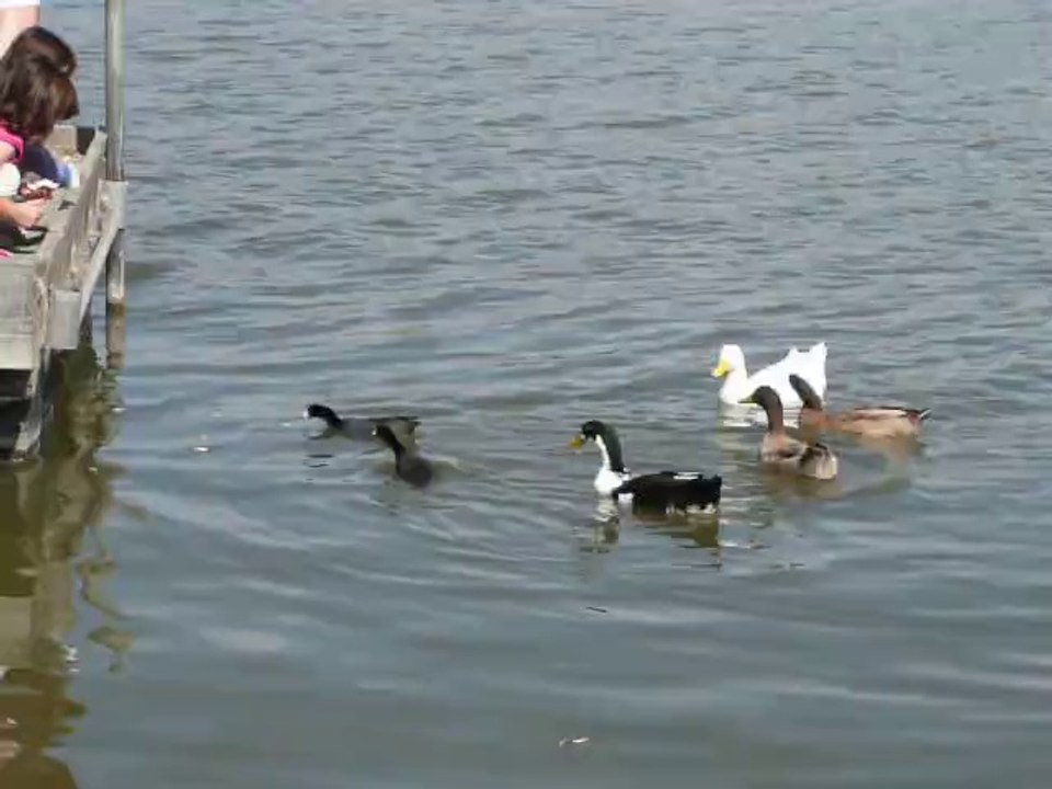 LAKE "ELIZABETT"