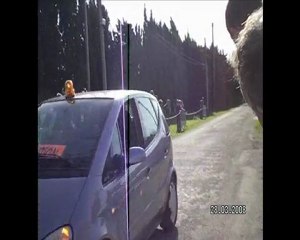 Victoire de Gérard à Entressen le 28 Mars 2010