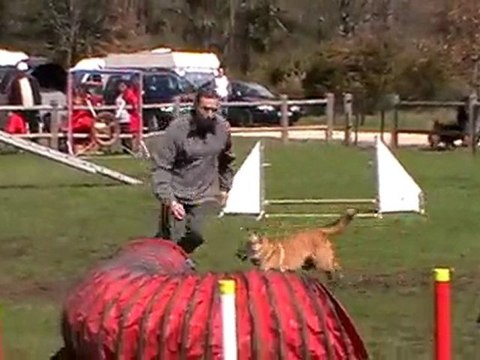 2eme degré raya ballan miré