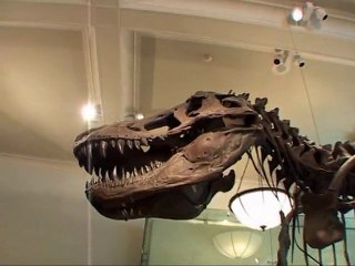 American Museum of Natural History in New York Dinosaur film