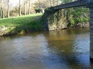 PONT du 06 04 2010 009