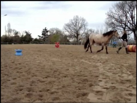 03 04 2010 : travail en liberté