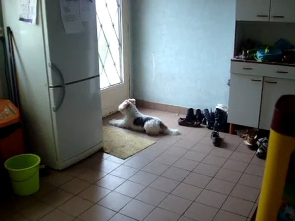 Doudou est triste :(