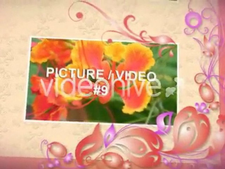 Wedding Photo Album After Effects template