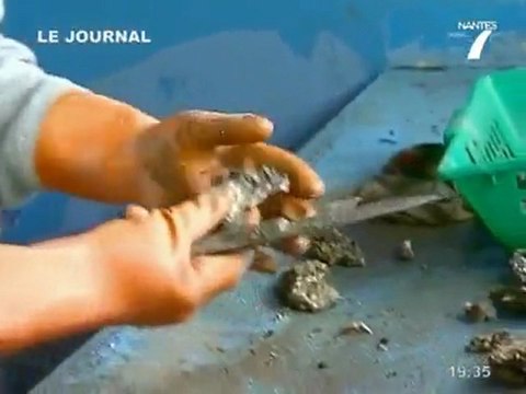 Les séquelles de la tempête de l'Ouest (Loire Atlantique)