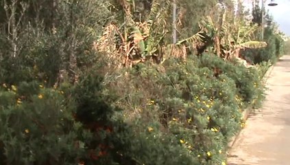 Kışın Falezler Yatlimanı Karaoğlan - Travertine winter Yath