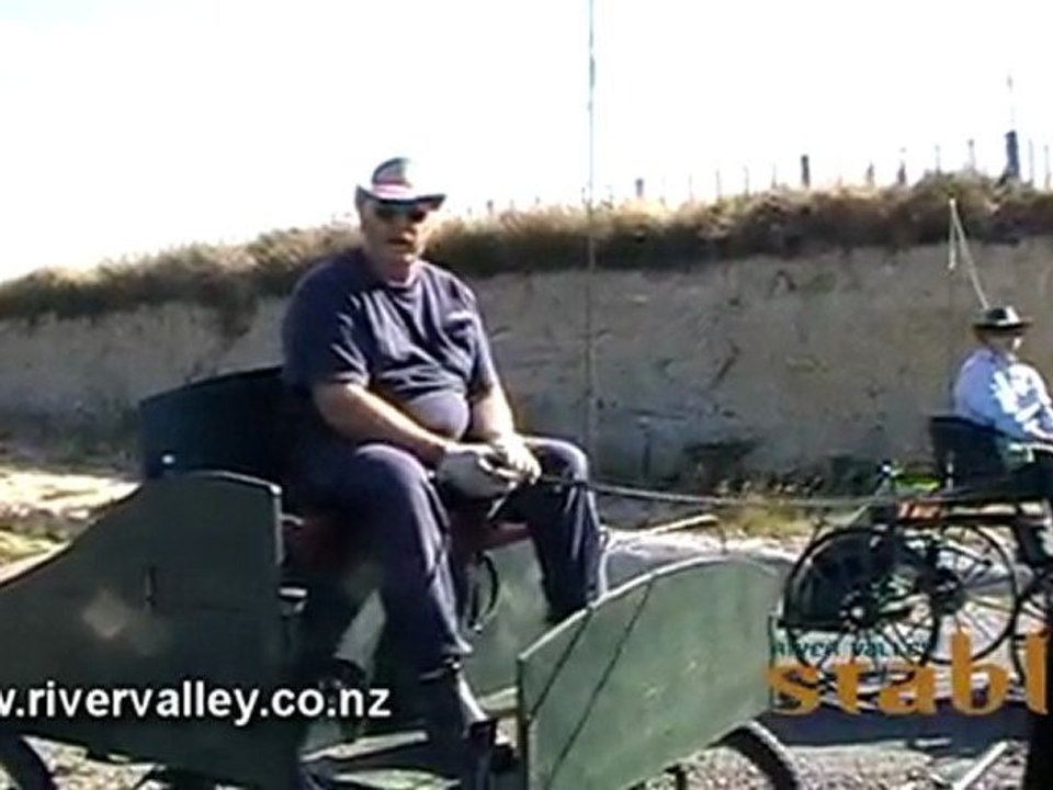 The Unlikely Files - Carriage Drivers