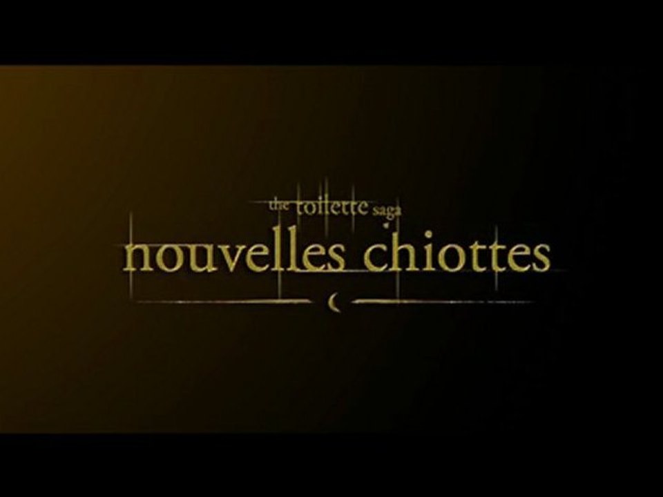 The Toilette Saga - Nouvelles Chiottes