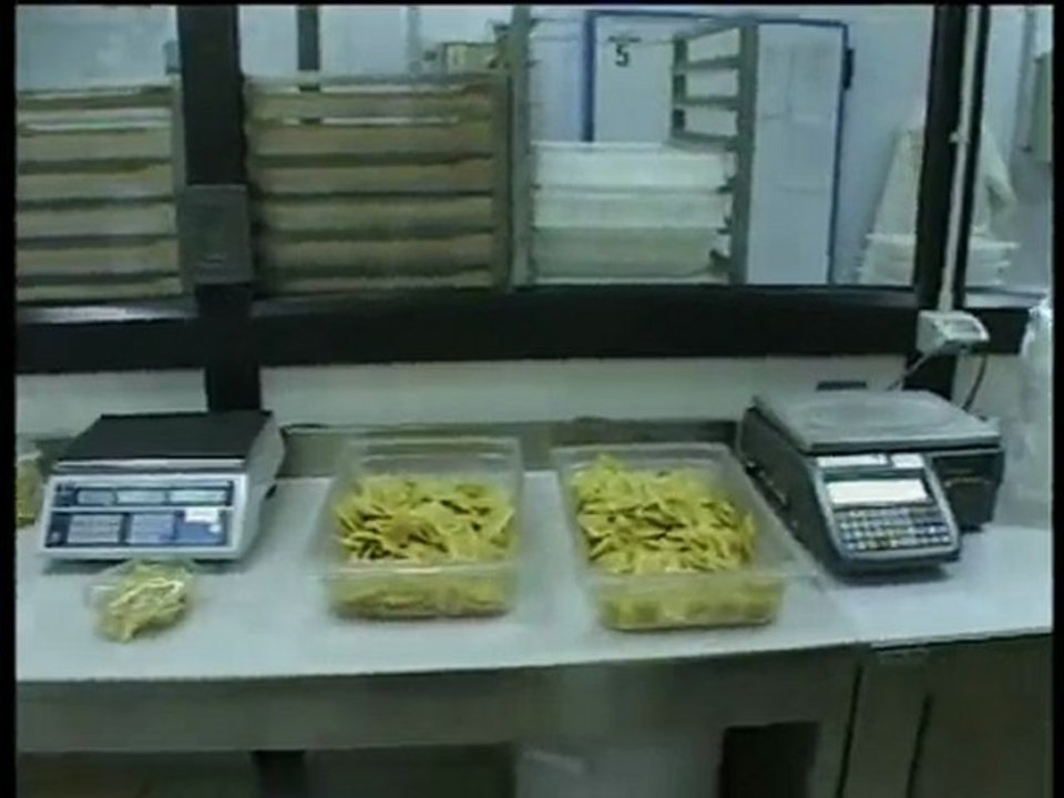 Ravioli machines and lines Italpast, macchine e impianti per ravioli