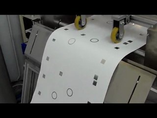 NEW ROLL TO ROLL PACK TO PACK HOLO@FLEXO K-300X2