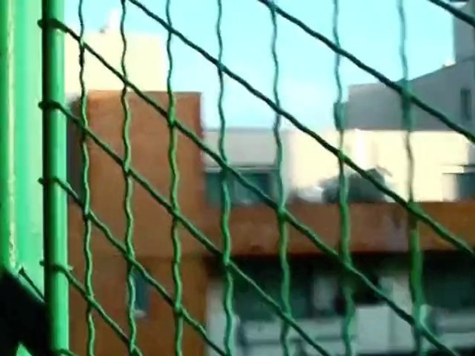 Parkour __HD