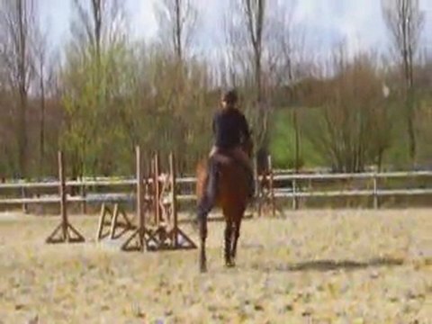 Perlani : reprise galop cata