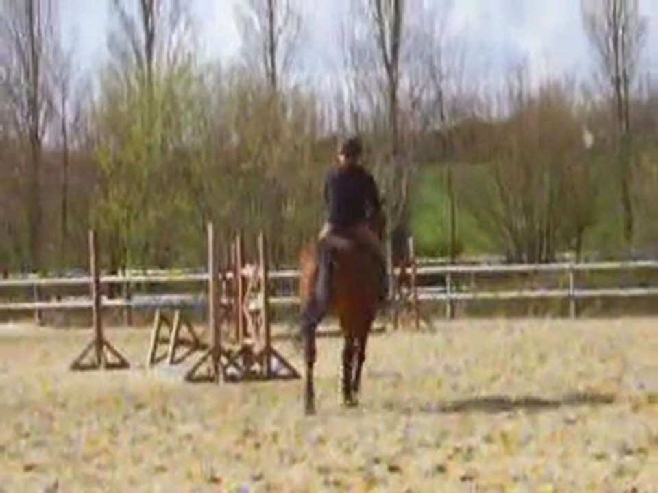 Perlani : reprise galop cata