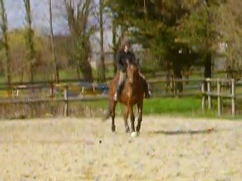 Perlani : cession a gauche