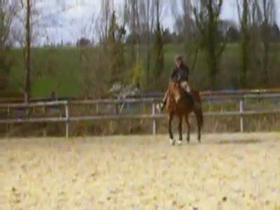 Perlani : cession a droite