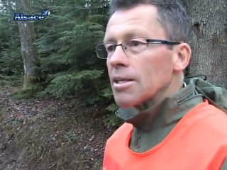 Aider les crapauds à traverser la route ! (Alsace)