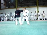 Nihon Tai Jitsu Stage  Gustàv VIKARTOCZKY dit Gusti avril 2010 - 4
