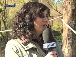 Mulhouse : un drôle de Zoo !