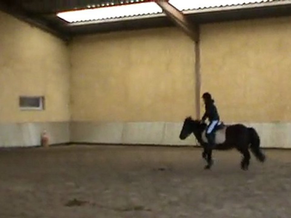 oxer!