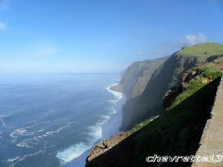 Discover the Best of Funchal & Ponta do Pargo: Your Ultimate Madeira Adventure 🌅