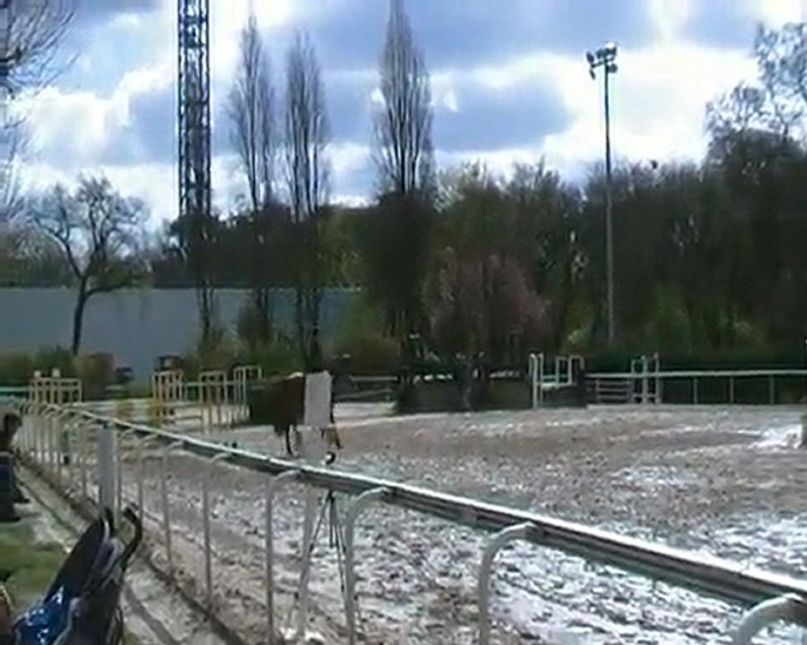 Quenotte volante Paris avril 2010