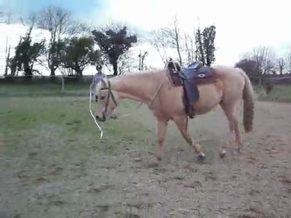 Oliday longe