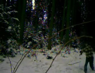 Le bucheron et le monstre des bois