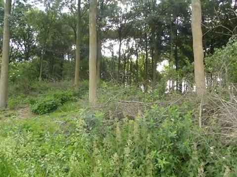 Diaporama de l'année 2009 - 20ème partie