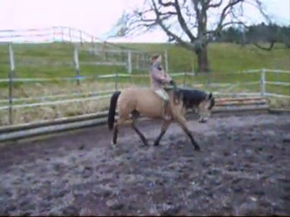 Tempête (pré)-débourrage