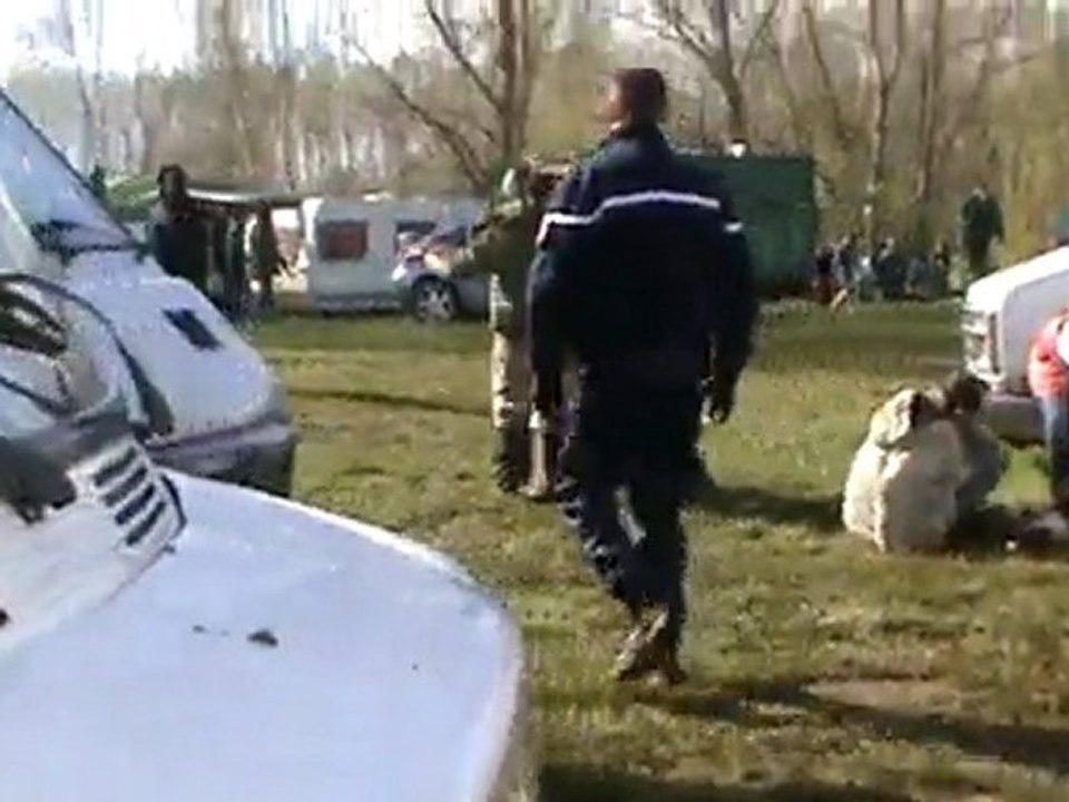 sans oublié nos amis les bleu