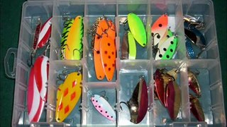 Fishing Tackle Boxes  Tips for Caring For Your Goldfish